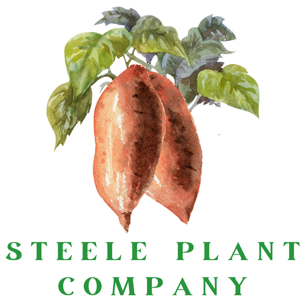 Steele Plant Company logo
