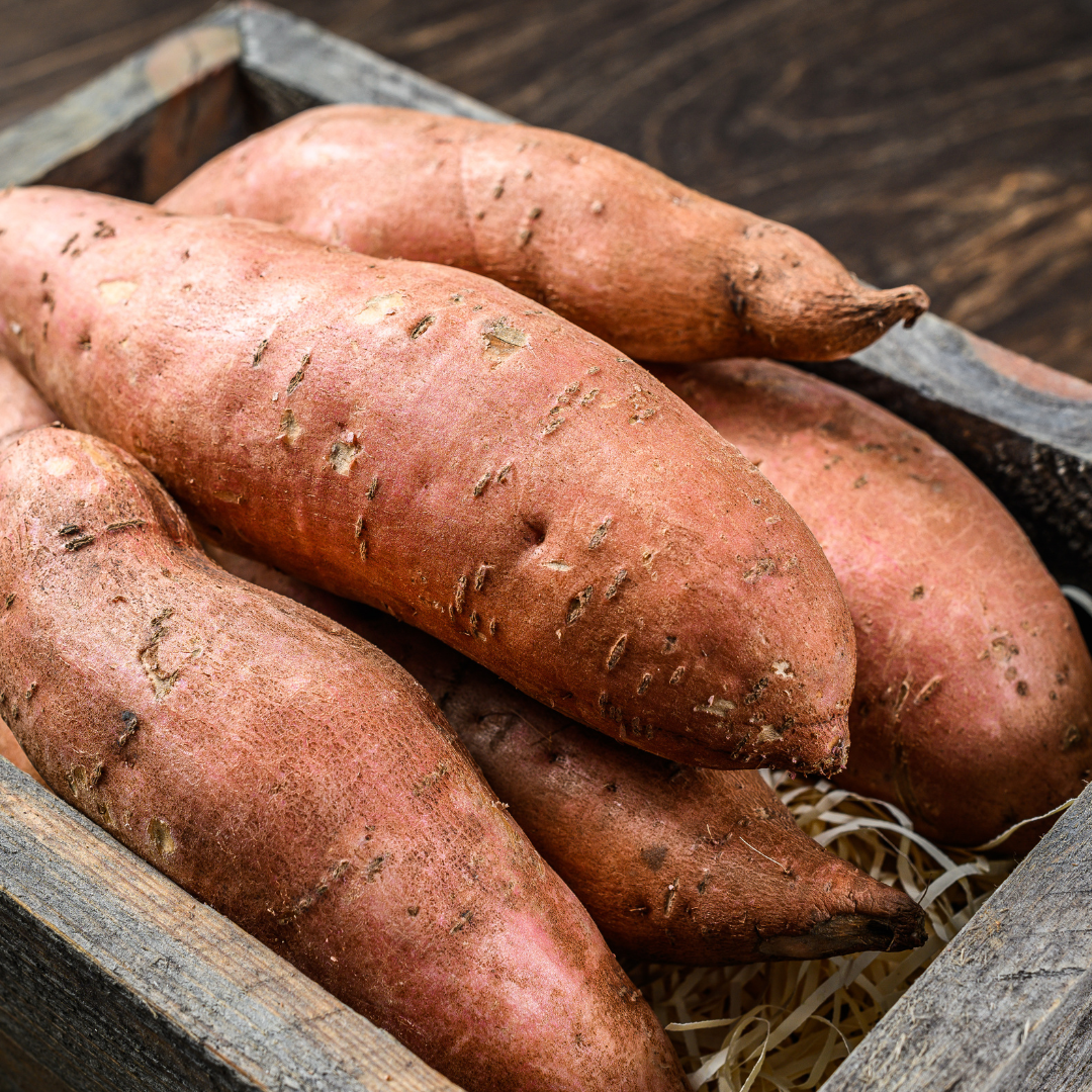 How to Store Sweet Potatoes After Harvesting