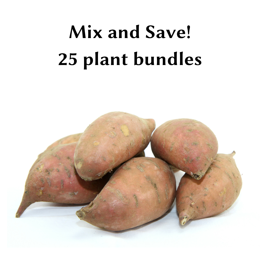 Mixed 25 Plant Bundles