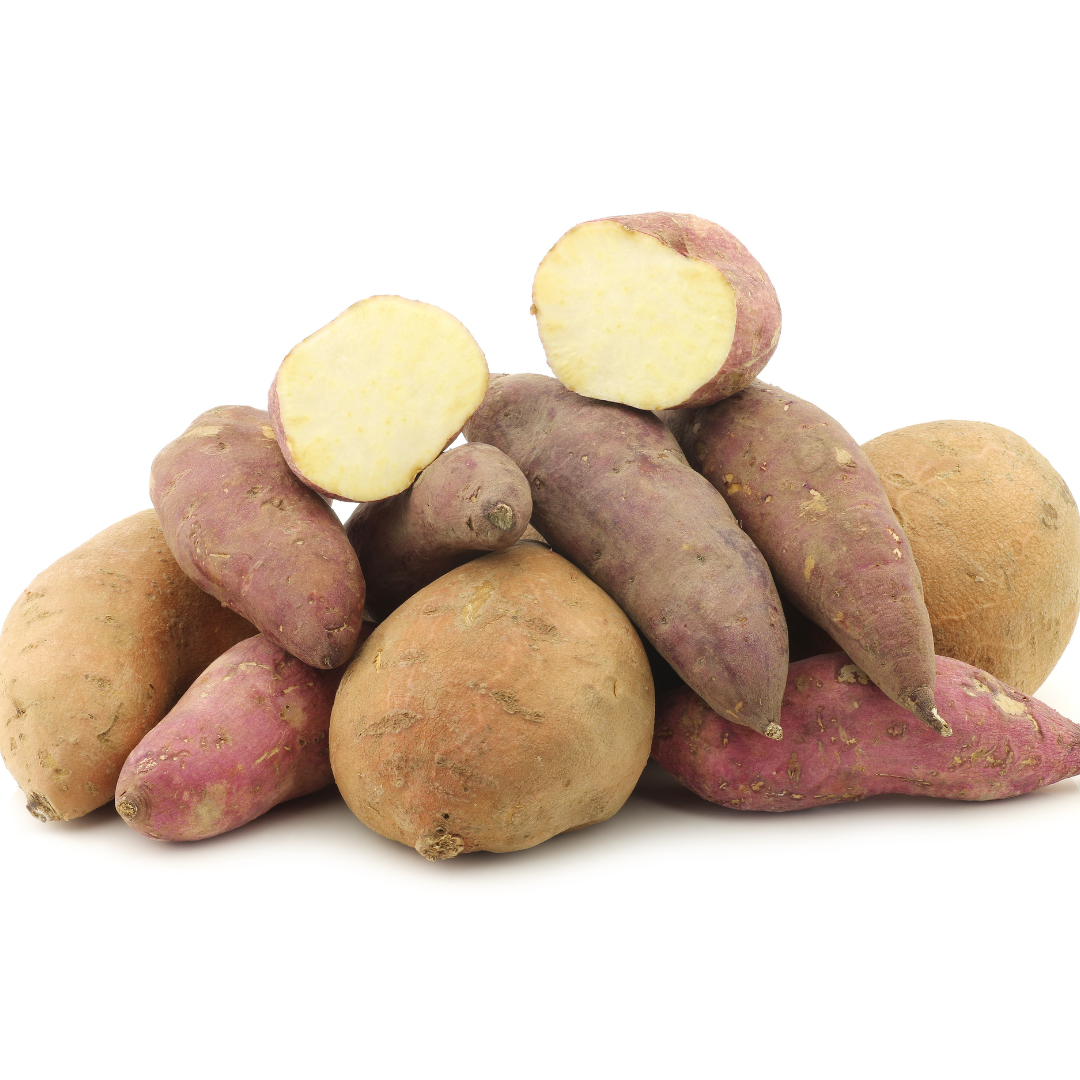 Wholesale 1000 Plant Bundles - Sweet Potato Plants from Steele Plant Company