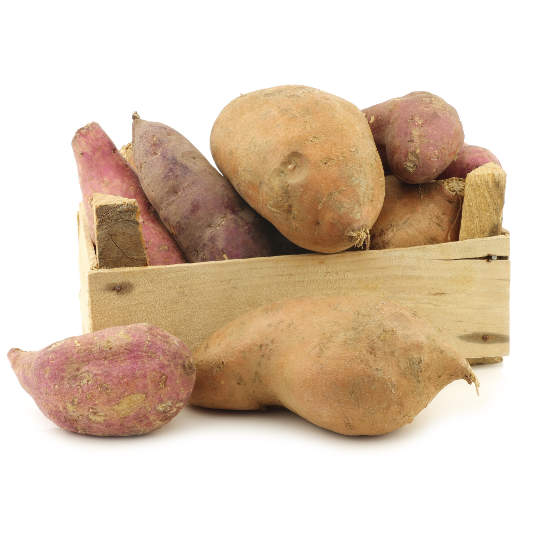 Wholesale 500 Plants Per Variety Bundles