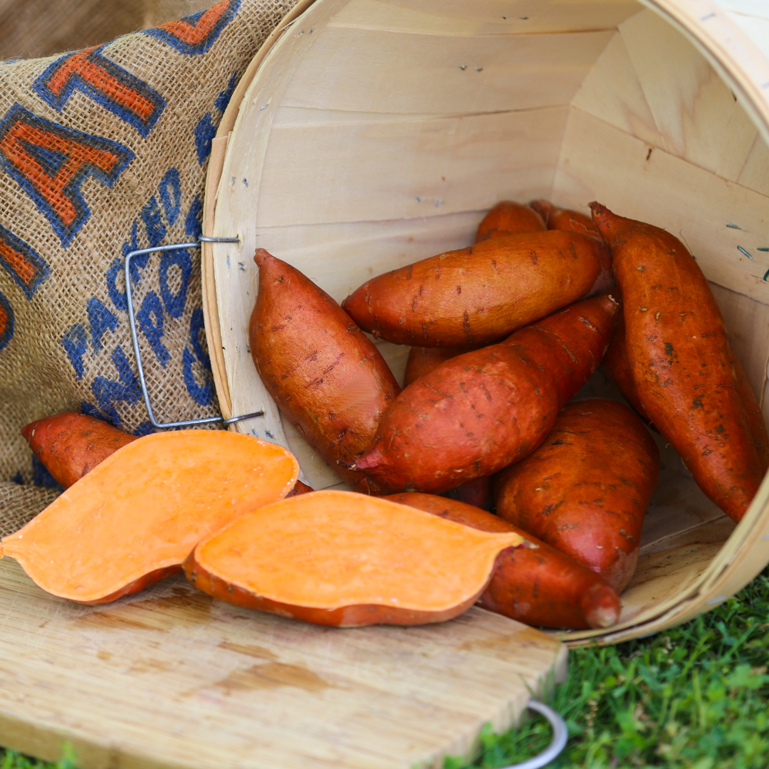 Potato Grow Bag Buy Online & Save