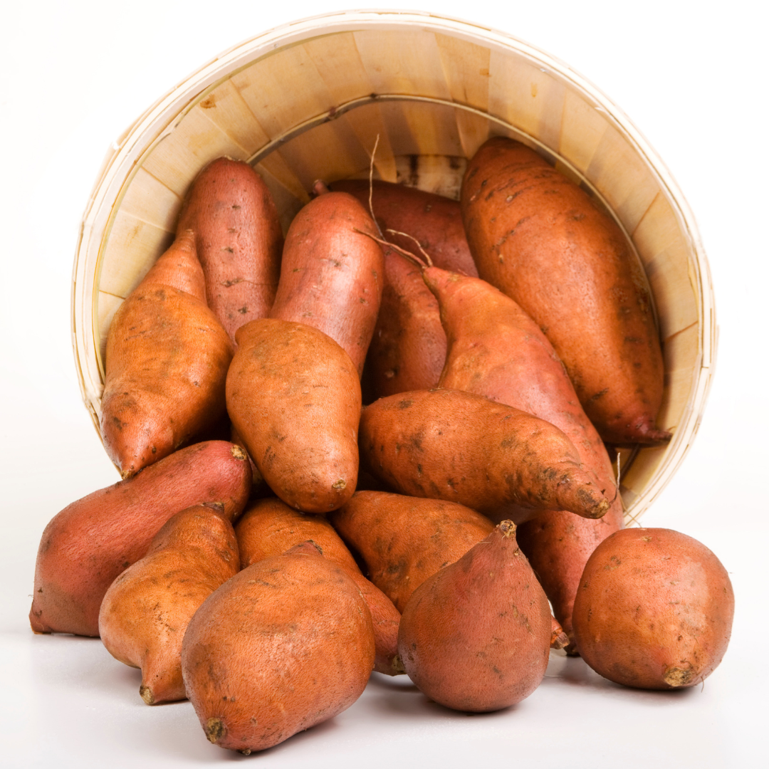 Customer Favorites Collection - Sweet Potato Plants from Steele Plant Company