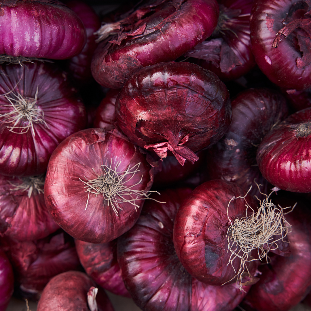 Red Hamburger Onion Plants - Steele Plant Company